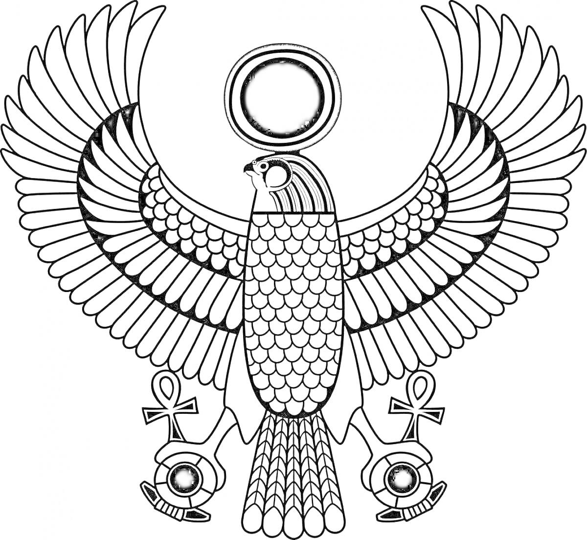 На раскраске изображено: Сокол, Древний Египет, Бог, Крылья, Солнце, Анх, Украшения, Символы