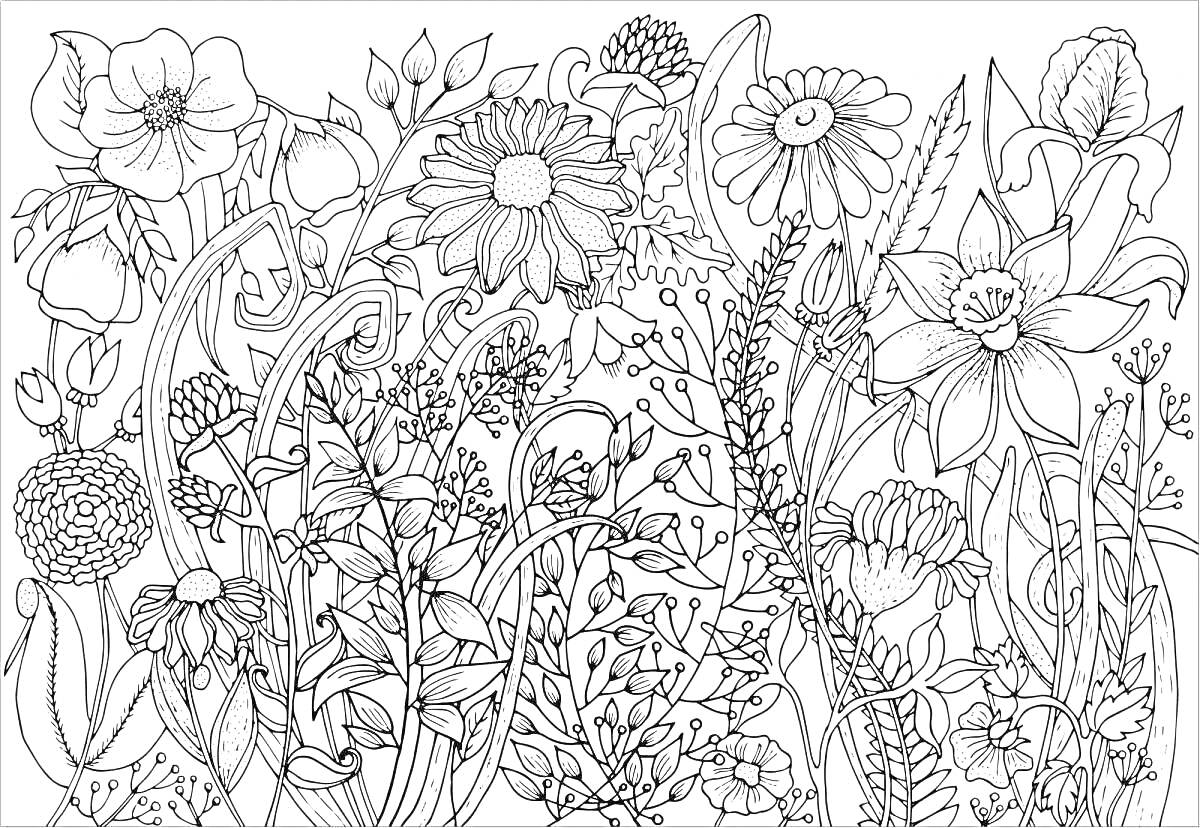 На раскраске изображено: Цветы, Релакс, Орхидеи, Тюльпаны, Розы, Папоротник, Лаванда, Антистресс