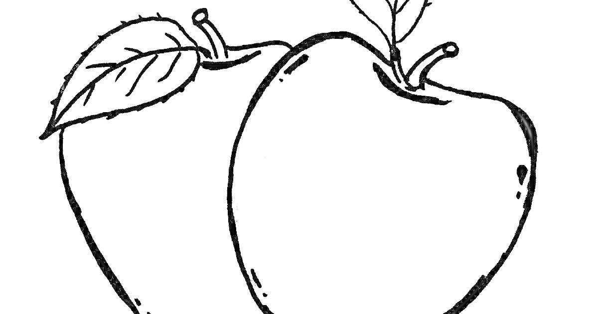 Раскраска Два яблока с листьями