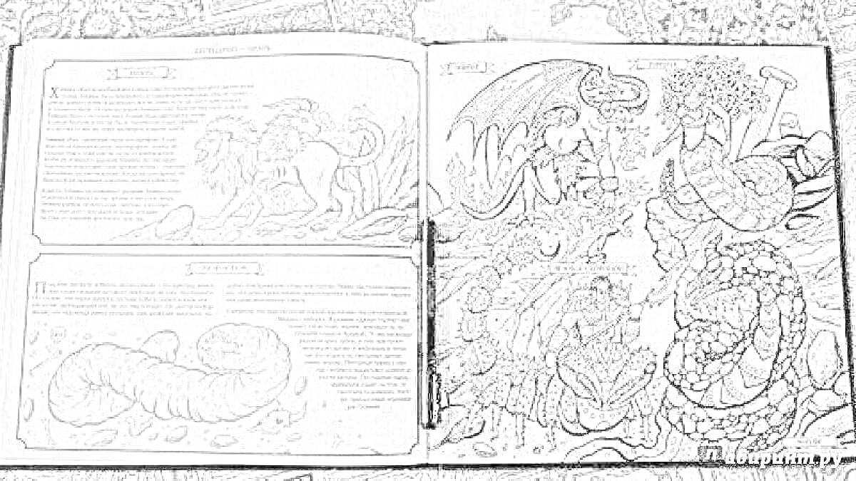 На раскраске изображено: Дракон, Воин, Крылатый лев, Червь, Женщина, Гнездо, Чудовище, Книга