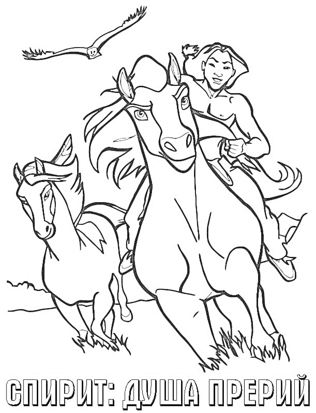 Раскраска Спирит: душа прерий - всадник на лошади с жеребенком, летящая птица