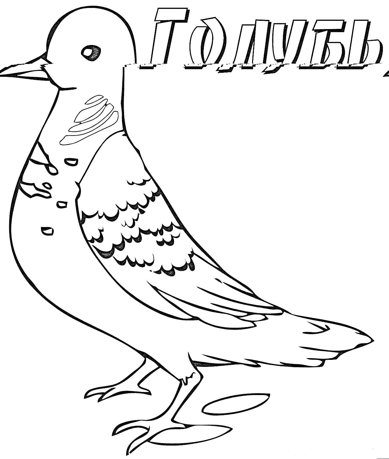 На раскраске изображено: Зимующие птицы, Птица, Зима, Пернатые, Голуби, Контурные рисунки