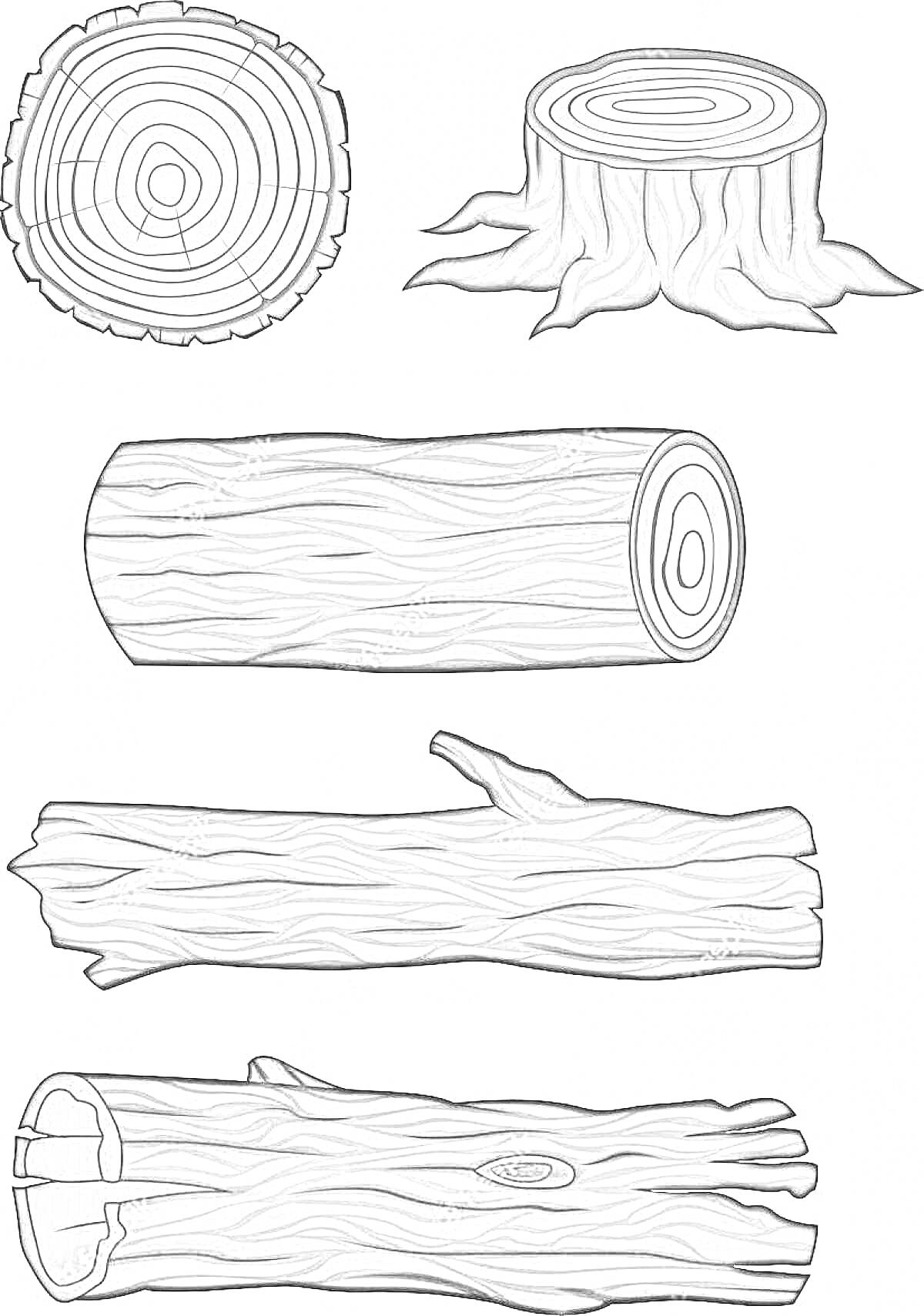 Раскраска Различные виды бревен и пней: поперечное сечение бревна, пень, горизонтальное бревно, бревно с суком, бревно с трещиной и пустотой