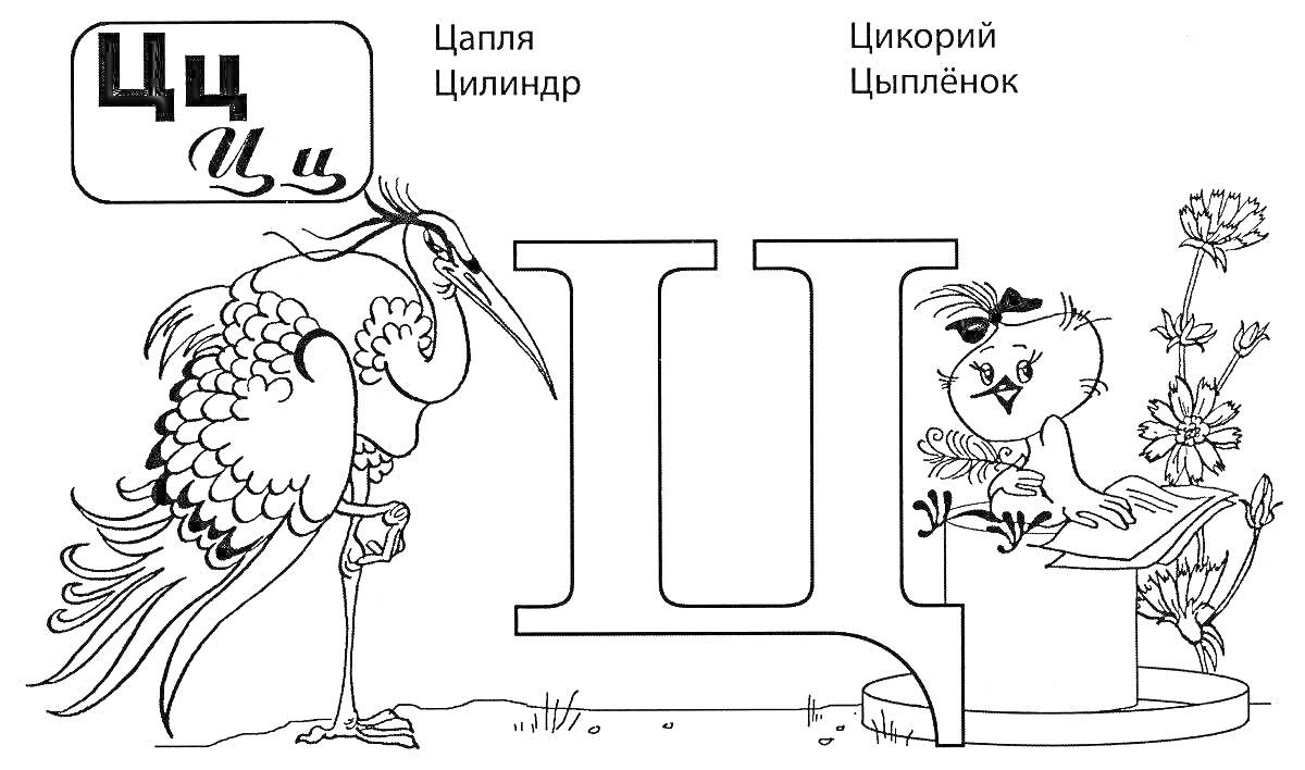 На раскраске изображено: Буква Ц, Русская азбука, Цапля, Цикорий, Алфавит, Для дошкольников, Обучение