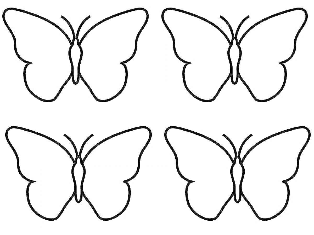 Раскраска Четыре бабочки для раскрашивания и украшения комнаты