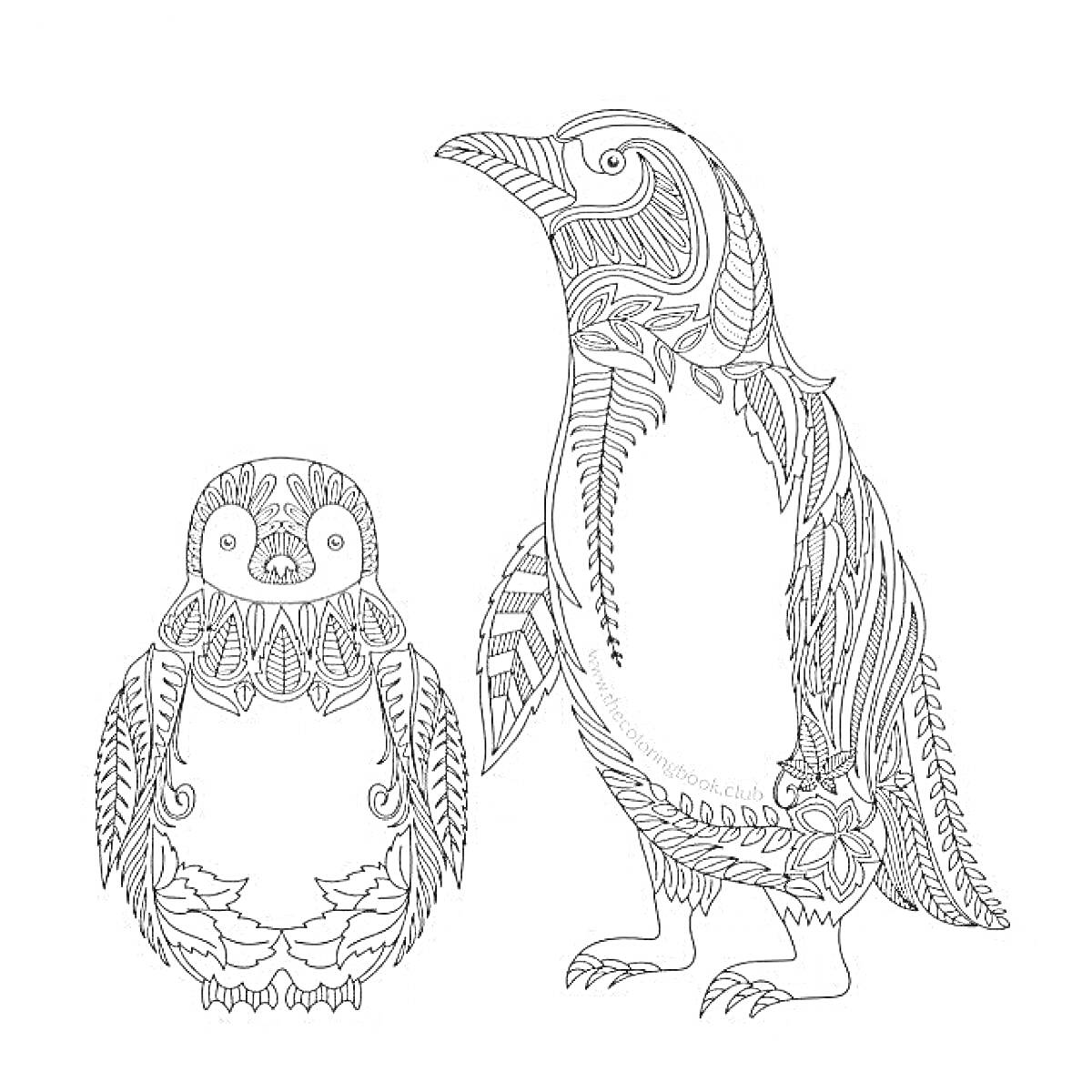 На раскраске изображено: Антистресс, Узоры, Взрослый пингвин, Птенец, Арт-терапия