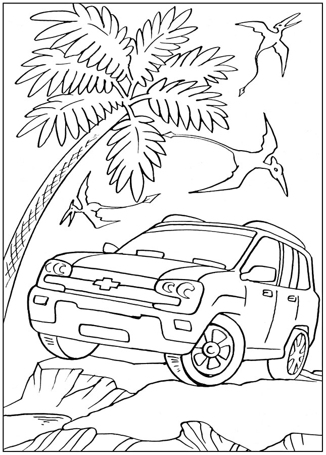 Раскраска Внедорожник под пальмой с птицами