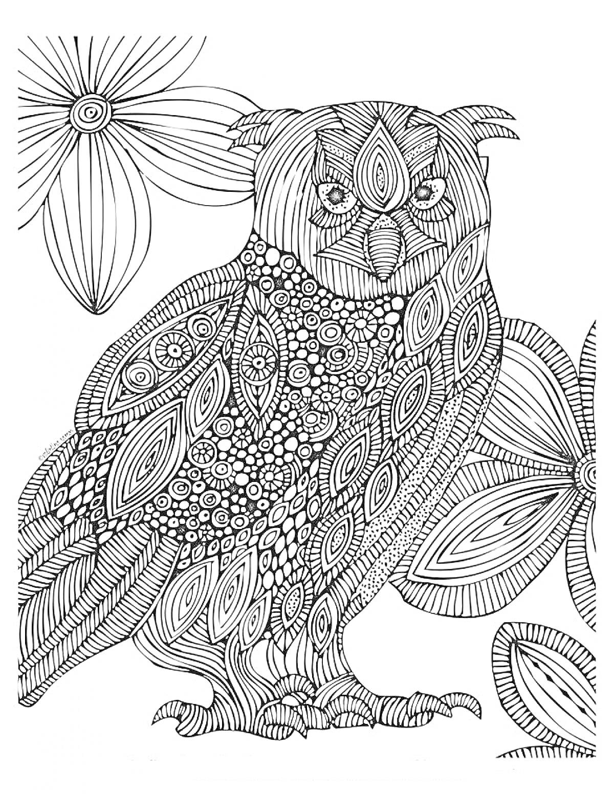 Раскраска Антистресс раскраска с совой и цветами, сова с узорами
