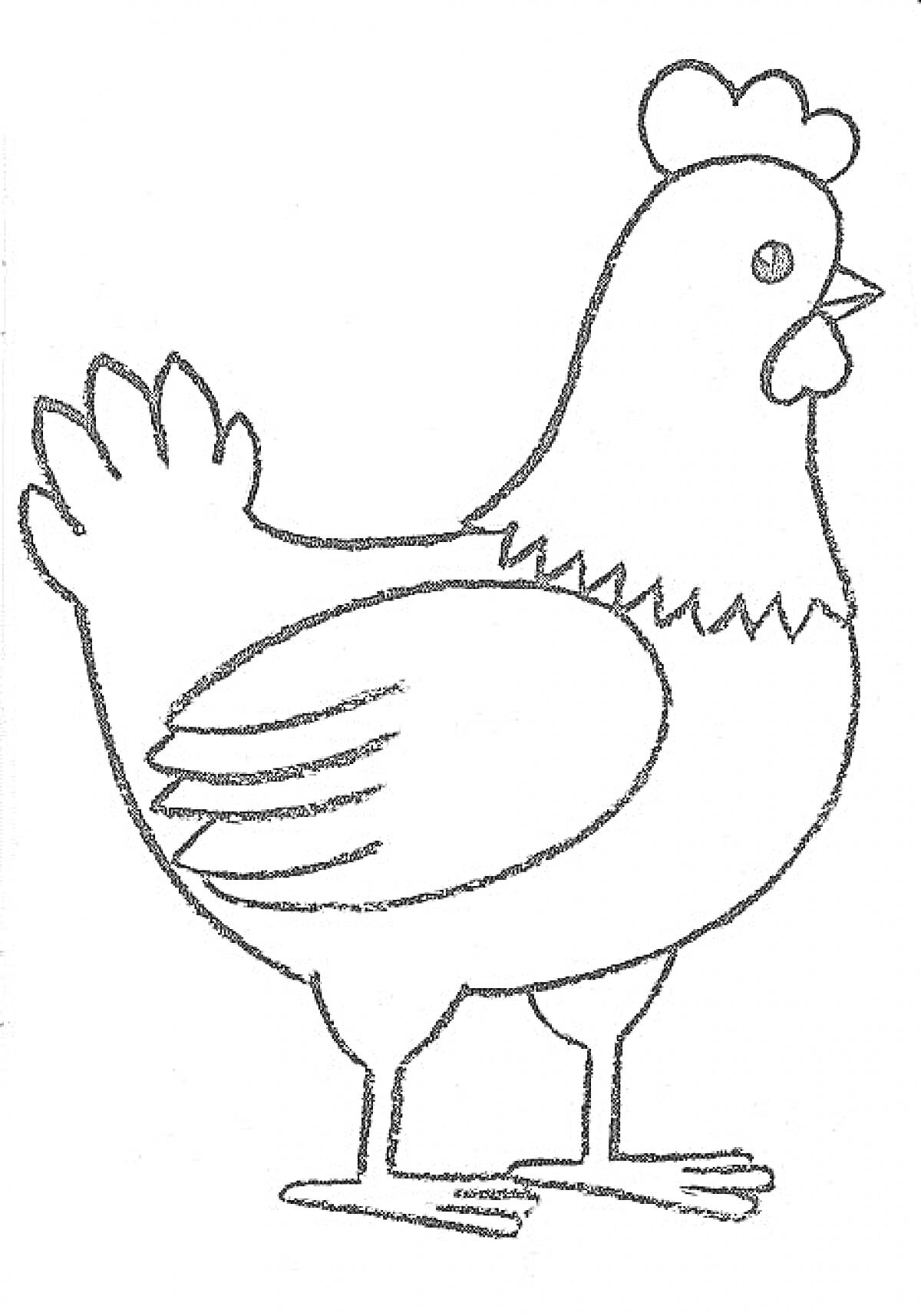 Раскраска Курица с гребешком и хвостом
