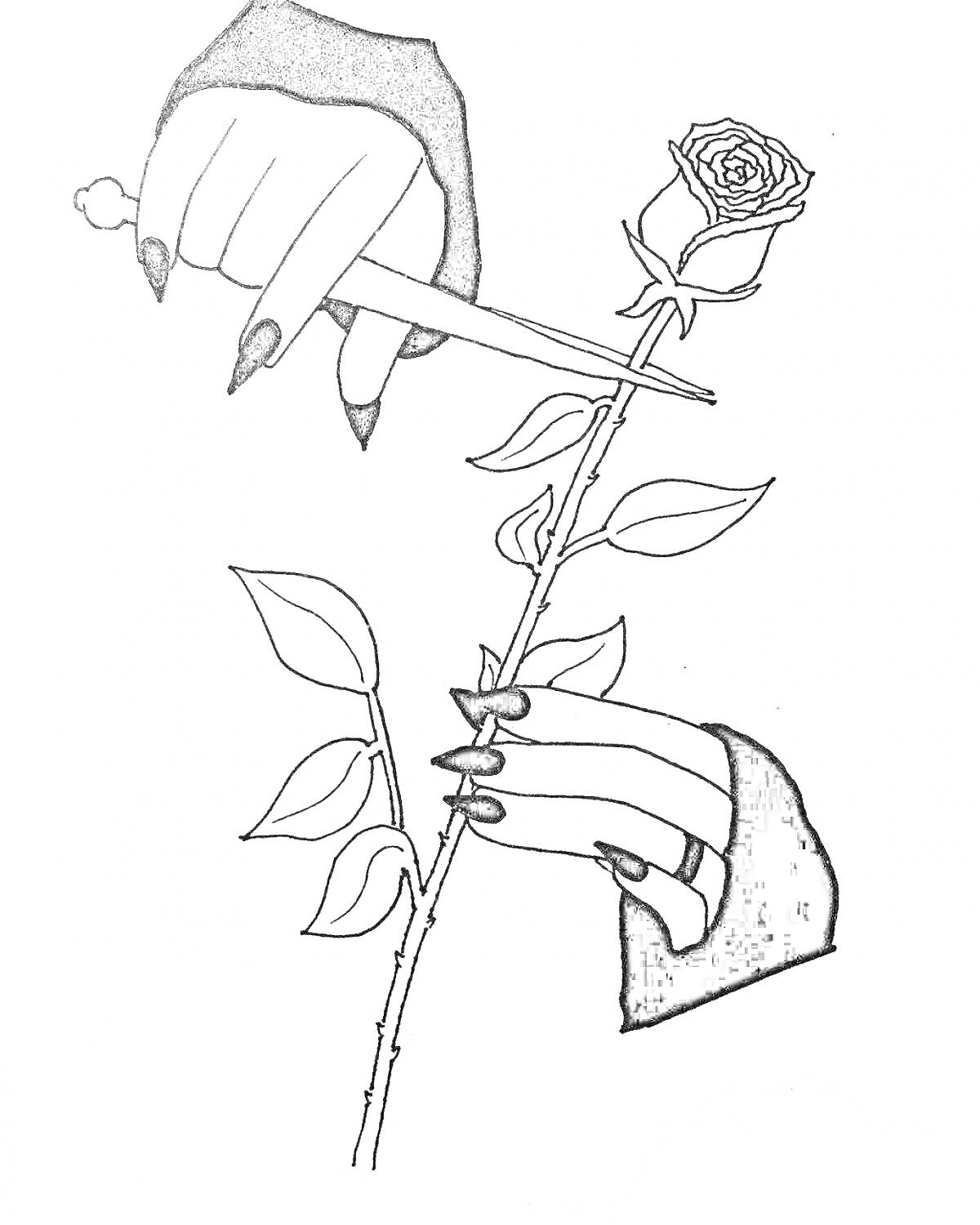 Раскраска Рука в перчатке с длинными черными ногтями, держащая розу со шипами