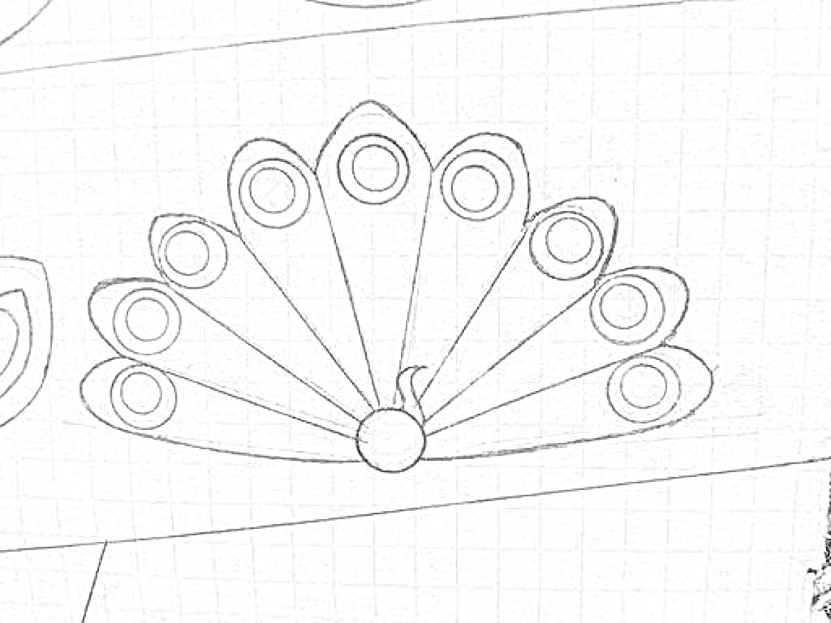 На раскраске изображено: Павлин, Талисман, Хвост, Узоры, Перья, Разукрашка