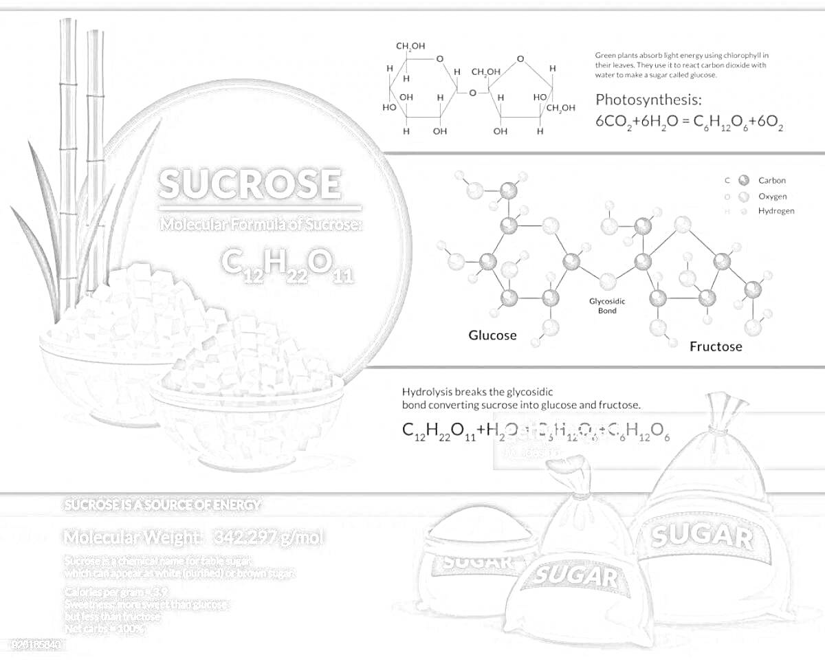 Раскраска сахароза, молекулярная формула сахарозы, C₁₂H₂₂O₁₁, фото сахарного тростника, кристаллы сахара, молекулярные структуры глюкозы и фруктозы, процесс фотосинтеза, фото различных мешков с сахаром, молекулярный вес - 342,297 г/моль