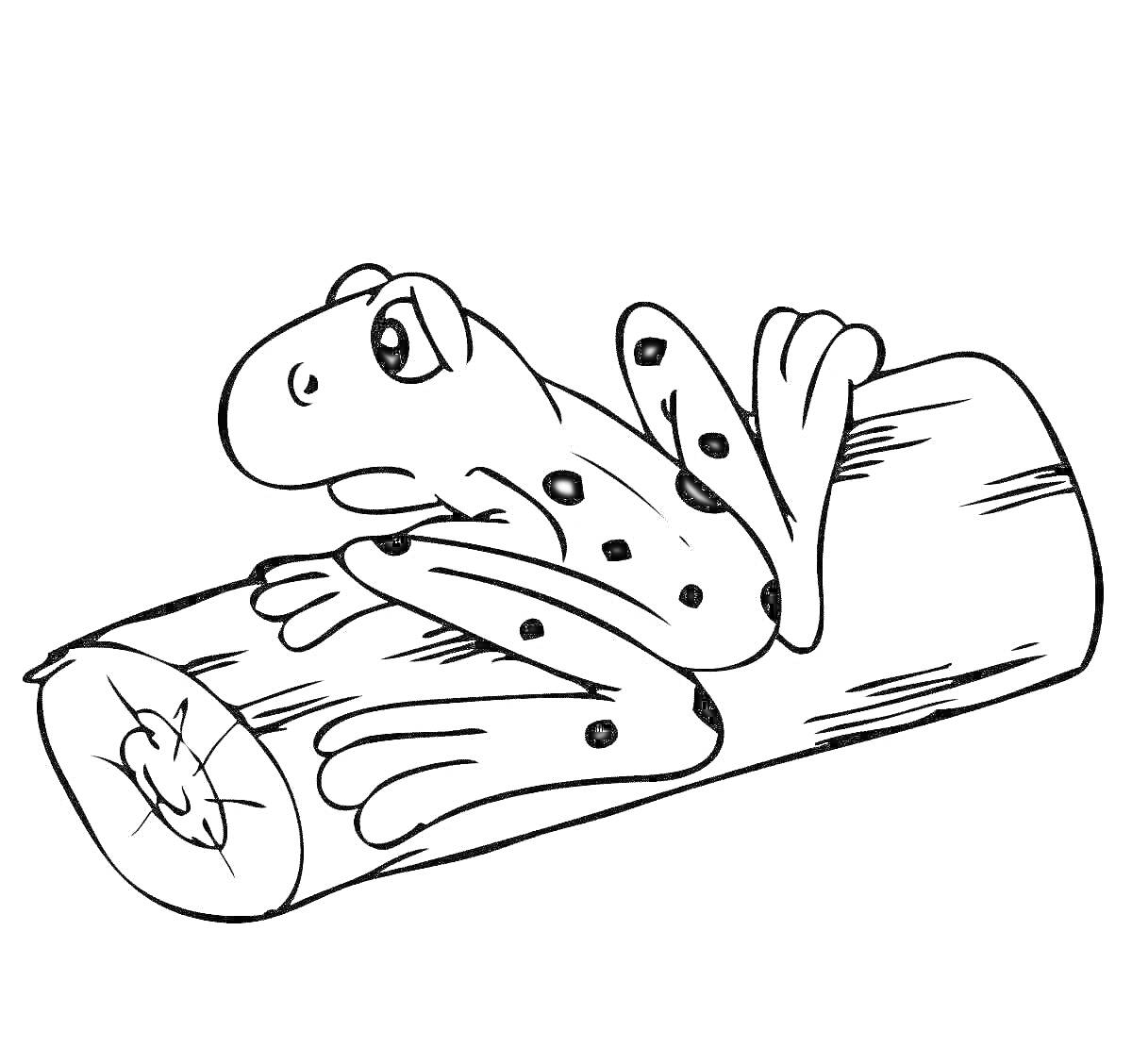 Раскраска Лягушка, сидящая на бревне