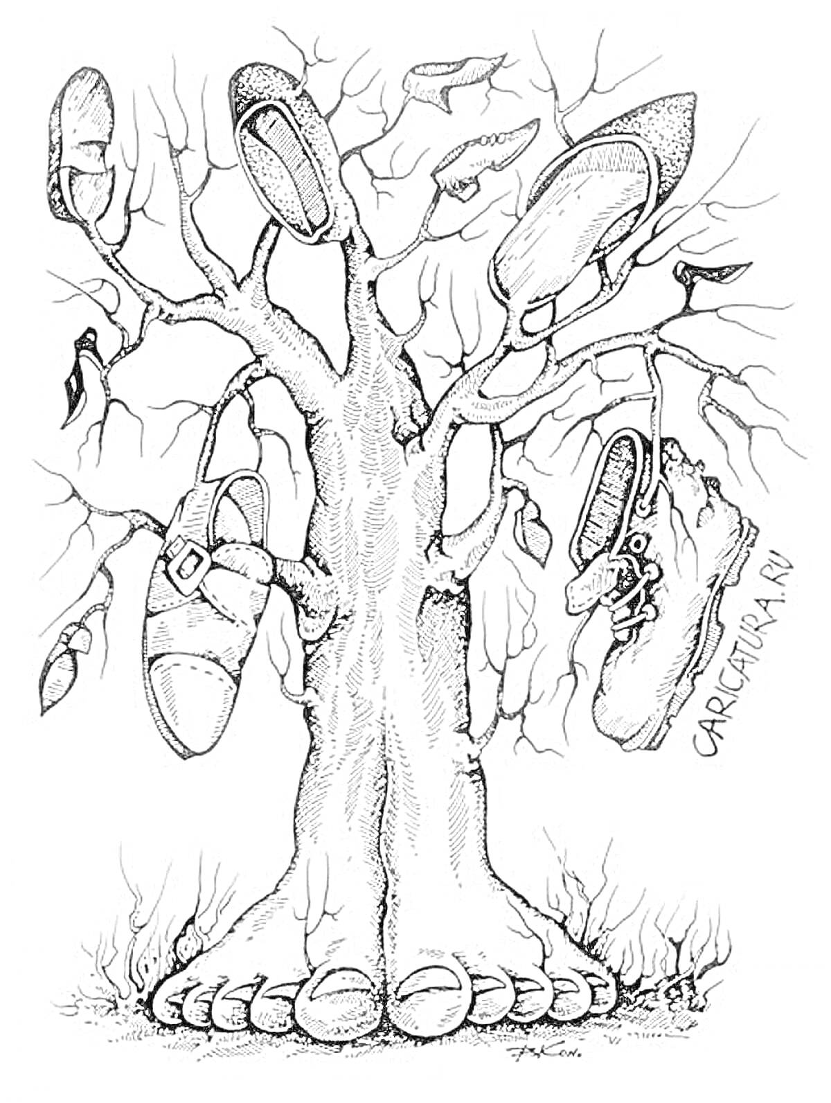 На раскраске изображено: Туфли, Обувь, Листья, Загадка, Деревья, Ветка