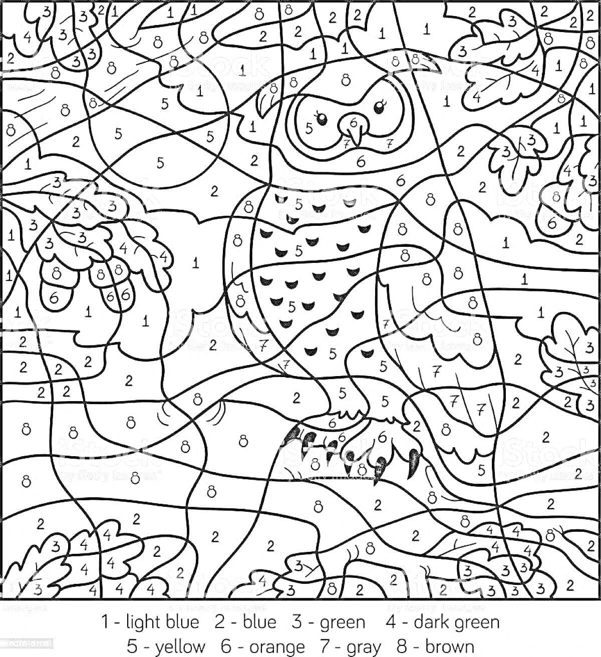 Раскраска Сова на ветке с листьями, раскраска по номерам