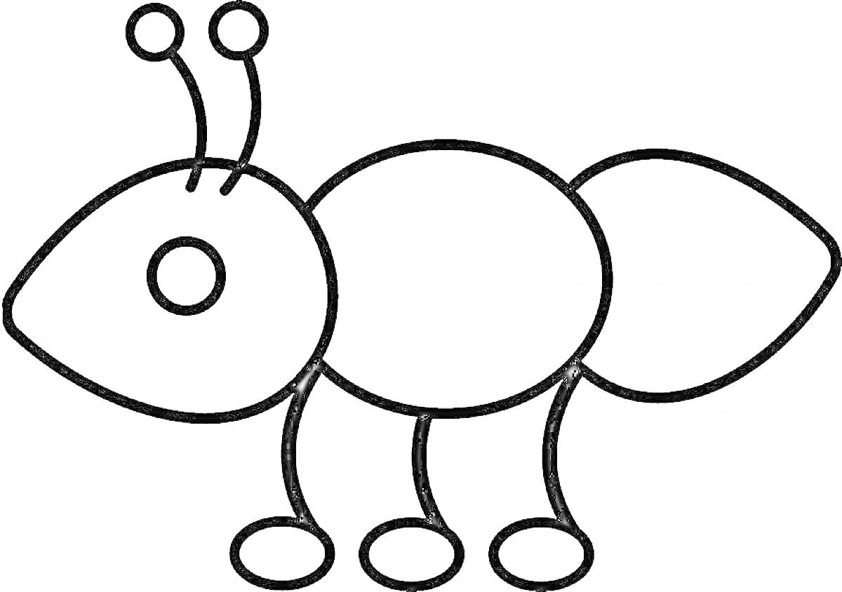 Раскраска Муравей с тремя сегментами тела, двумя усиками и шестью ногами