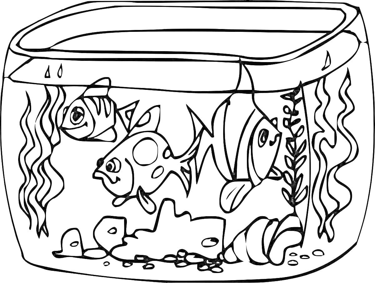 На раскраске изображено: Аквариум, Водоросли, Камни, Раковина, Подводный мир, Творчество, Для детей, Рыба