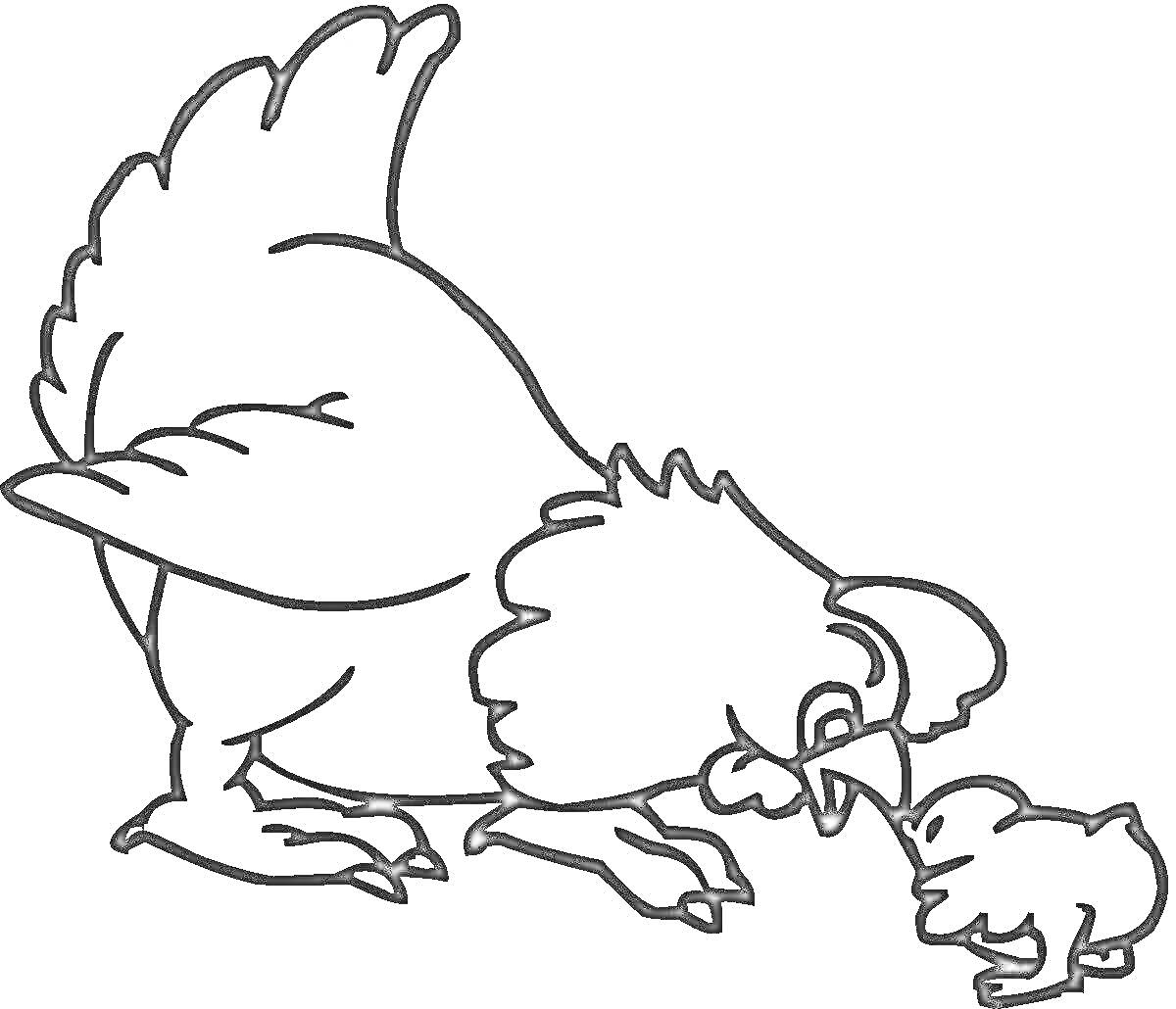 Раскраска Курочка с цыпленком