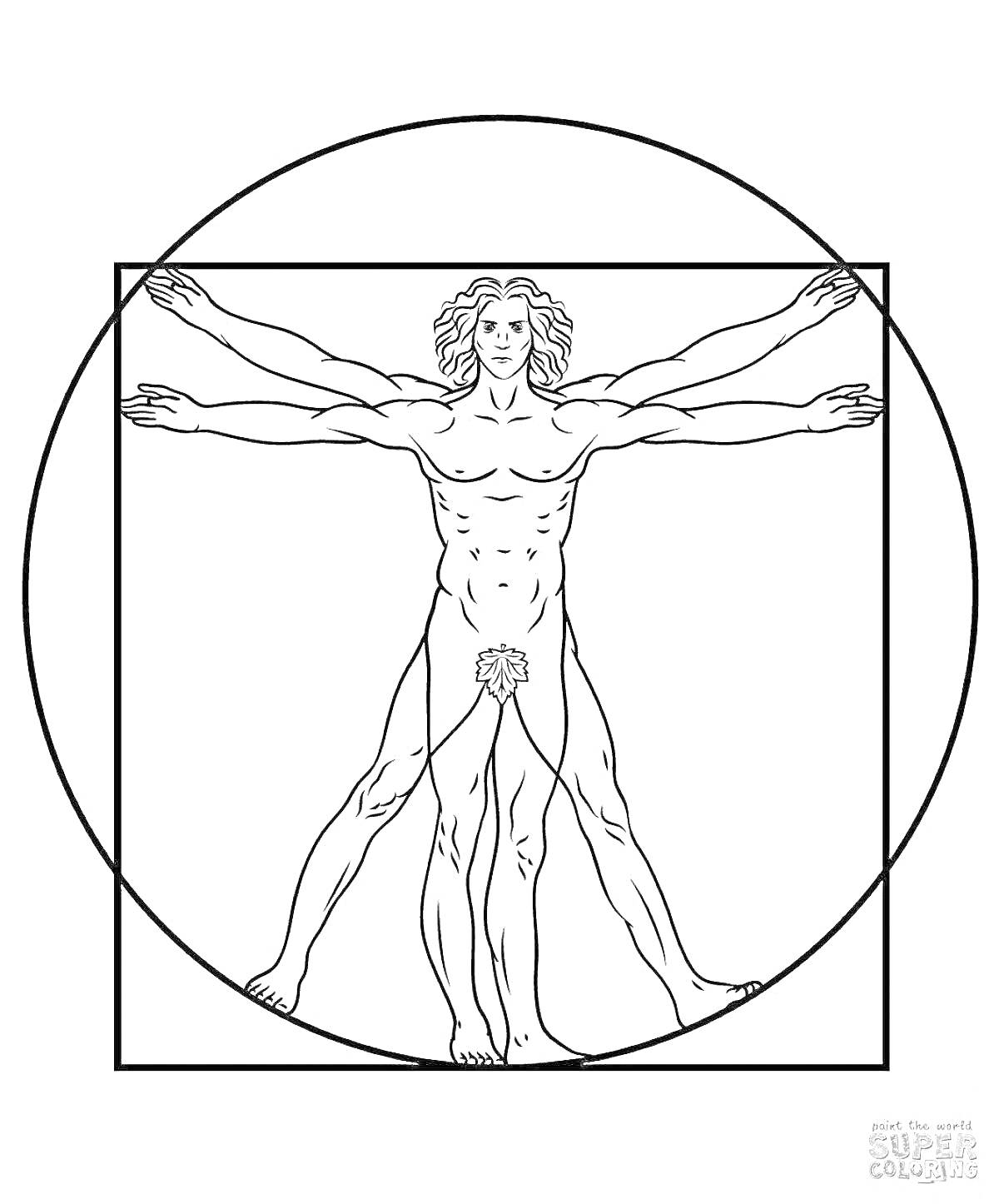 Раскраска Витрувианский человек внутри квадрата и круга