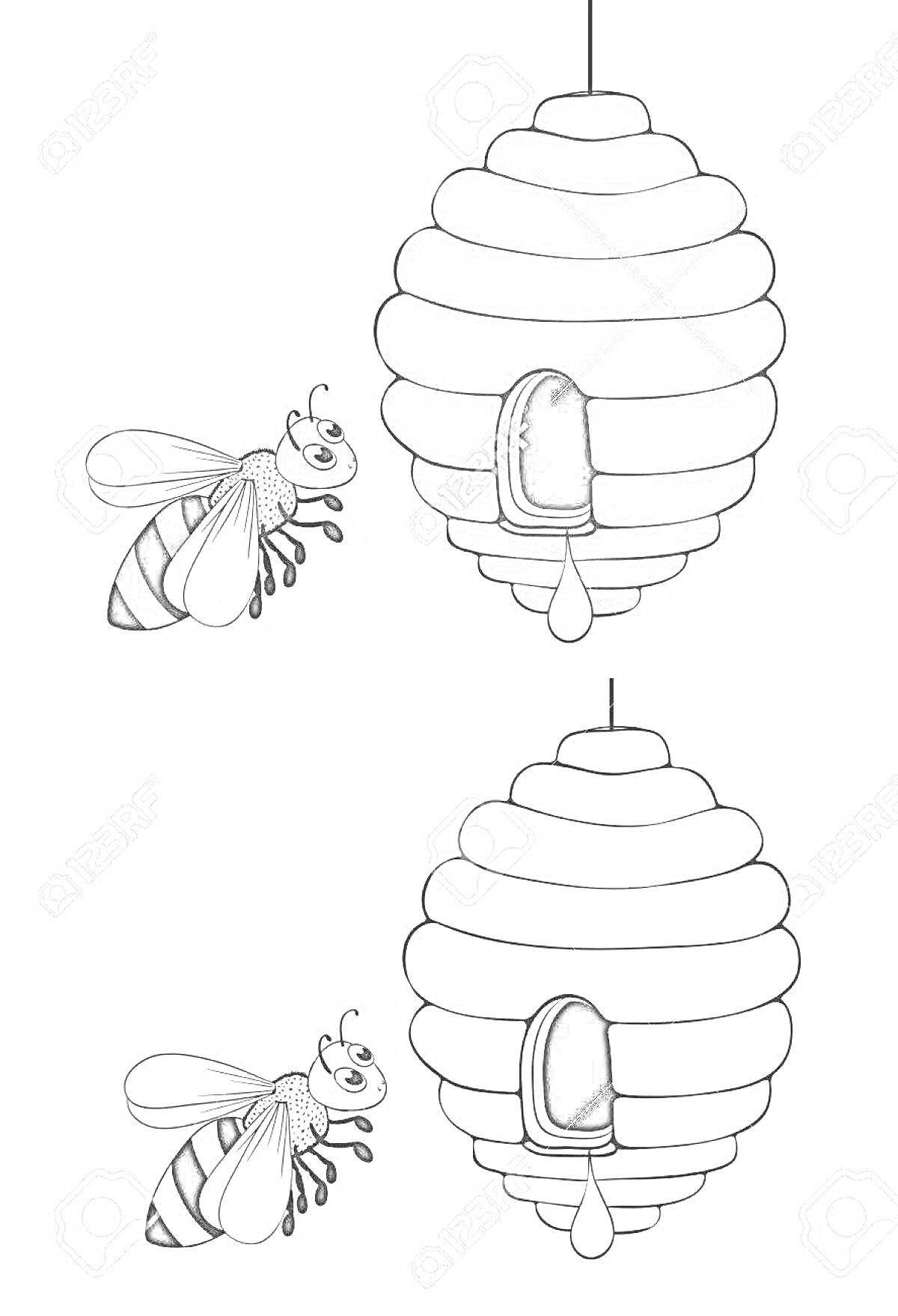 Раскраска Улей и пчела с каплей меда