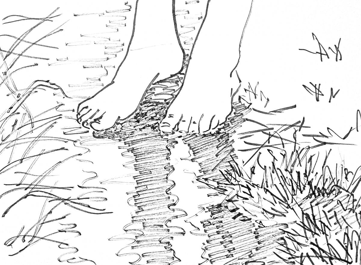 Раскраска Ноги на краю лужи с травой