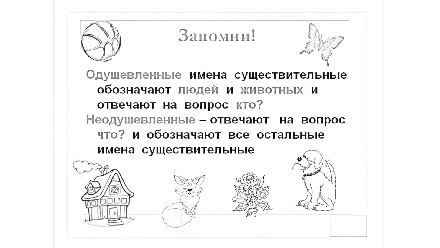 Раскраска Одушевленные и неодушевленные имена существительные - шар, бабочка, домик, белка, медведь, мяч