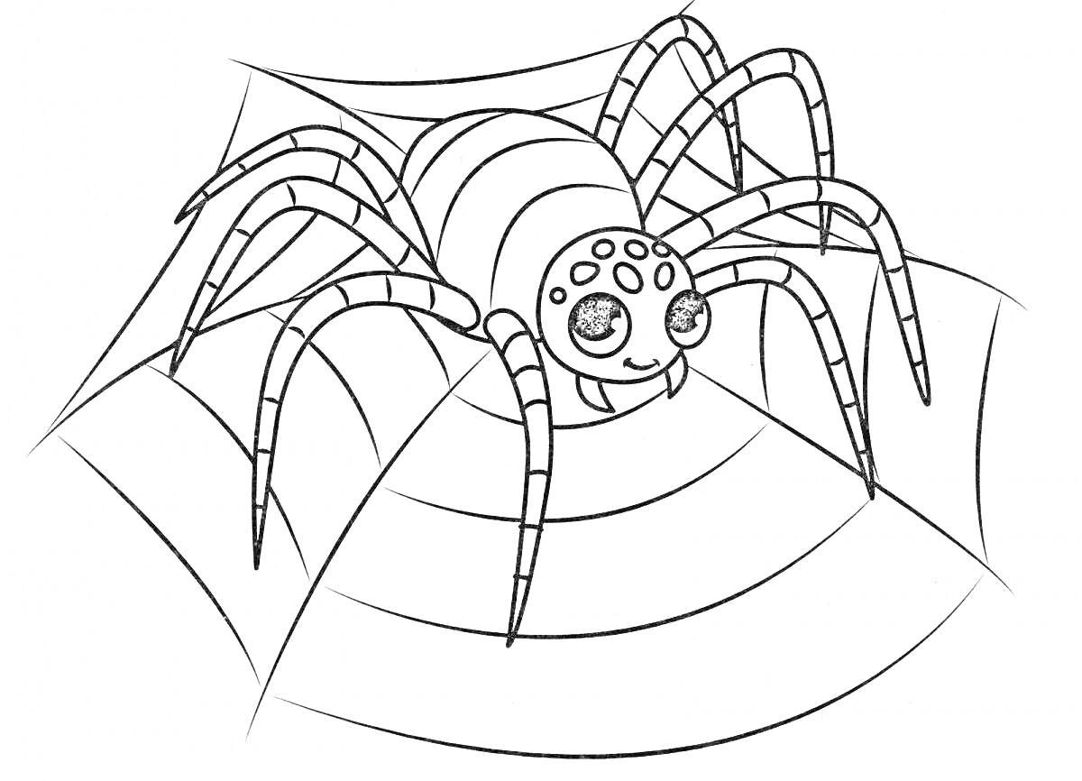 Раскраска Паучок на паутине с улыбкой и крупными глазами