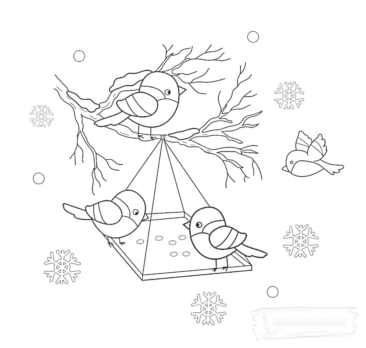 Раскраска кормушка для птиц с тремя птицами на ветке и кормушке, снег