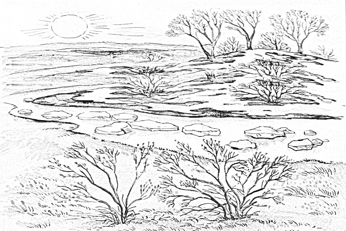 Раскраска Зимний пейзаж с солнцем, деревьями без листвы и рекой с льдинами