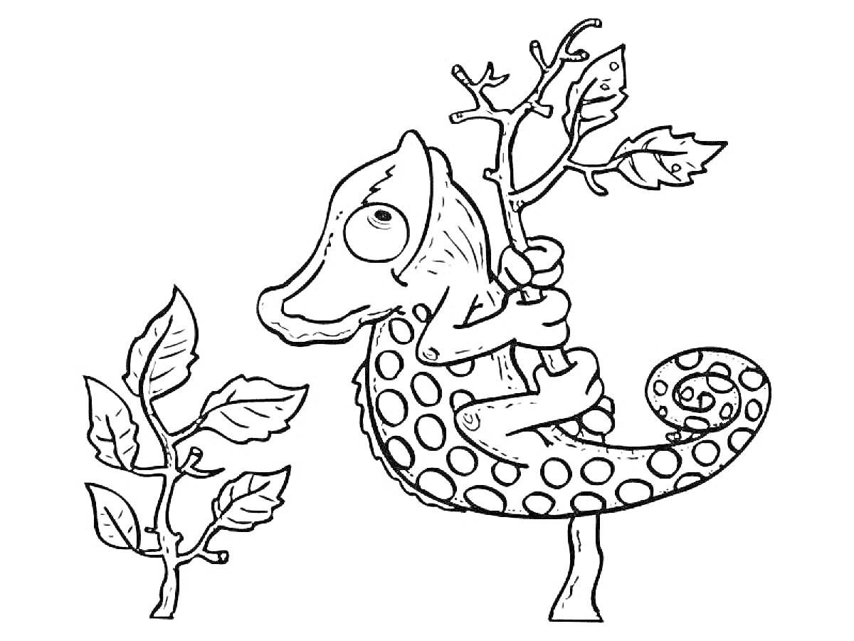 На раскраске изображено: Хамелеон, Ветка, Листья, Природа, Животные