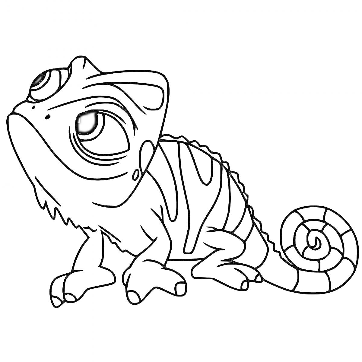 Раскраска Хамелеон с полосками и завитым хвостом