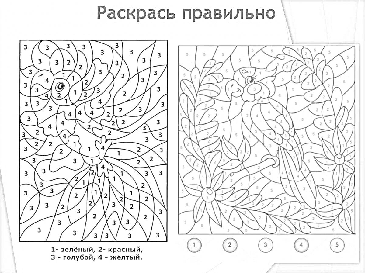 Раскраска Разукрашивание по номерам, сова и птица в цветах