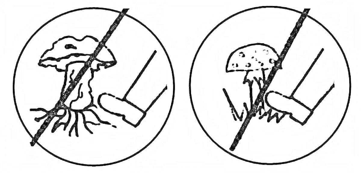 Раскраска круглыe запретительные знаки с изображением гриба и ноги, перечёркнутые линией