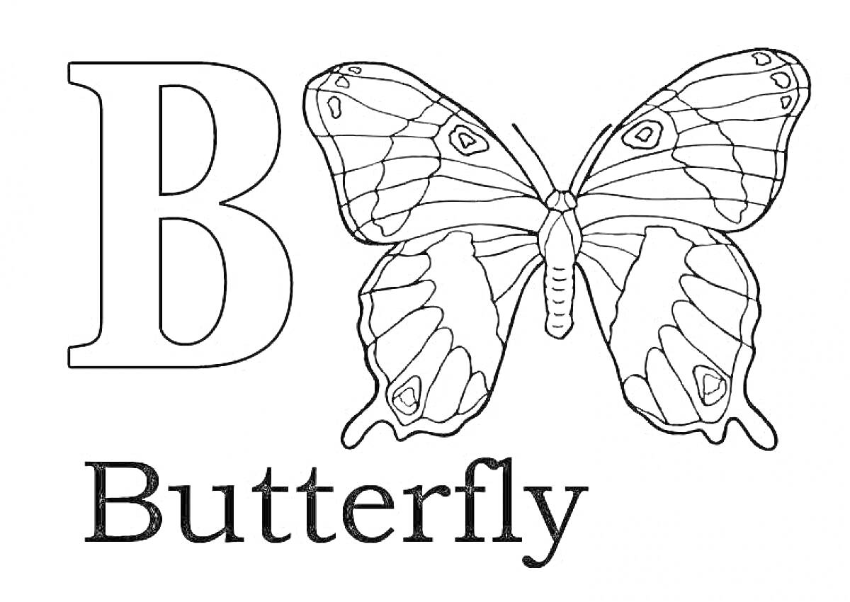 Раскраска Буква B с бабочкой и словом 