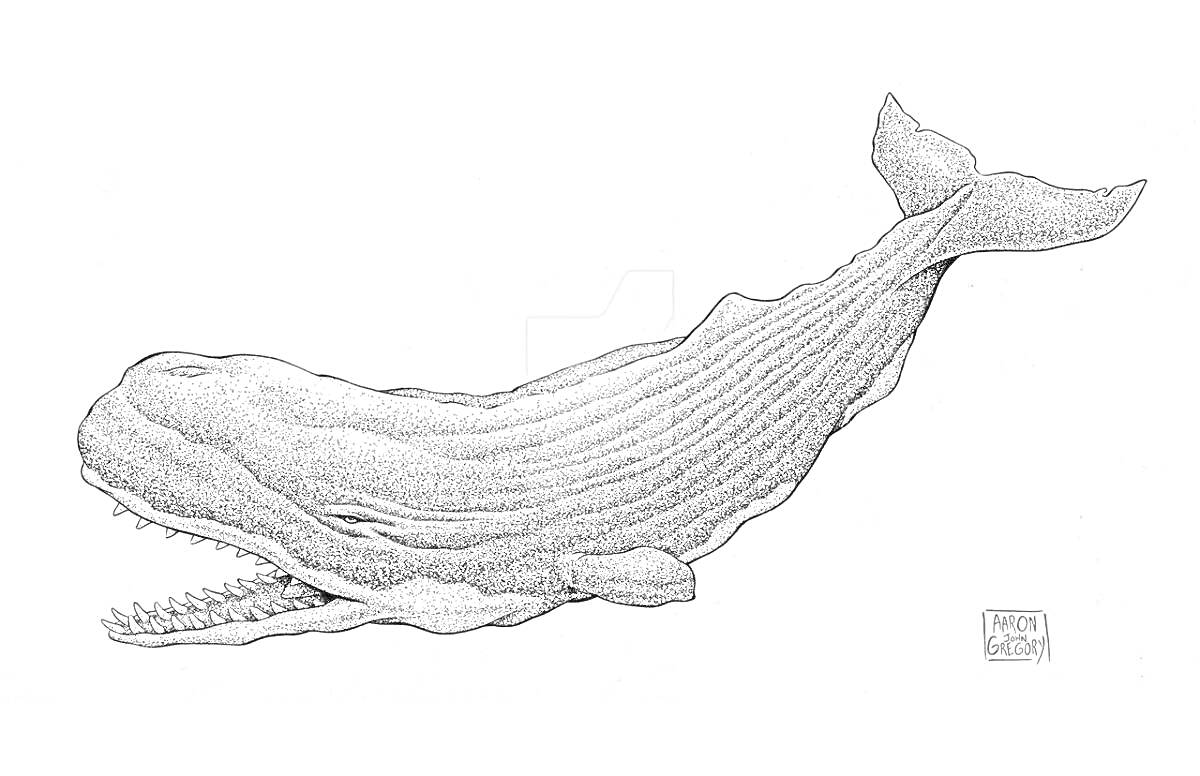 На раскраске изображено: Левиафан, Морской монстр, Море, Мистика, Зубы, Плавание