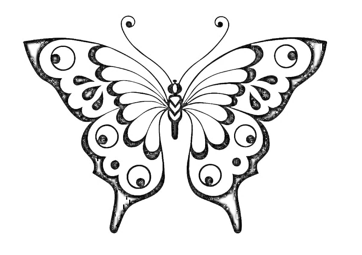 Раскраска Бабочка с декоративными узорами на крыльях