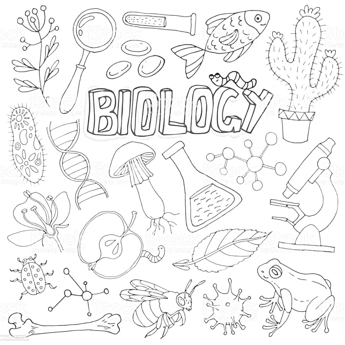 На раскраске изображено: Биология, Увеличительное стекло, Бактерии, Таблетки, Рыба, Растения, ДНК, Грибы, Молекулы, Микроскоп, Бабочка, Яблоко, Кости, Жуки, Наука, Природа