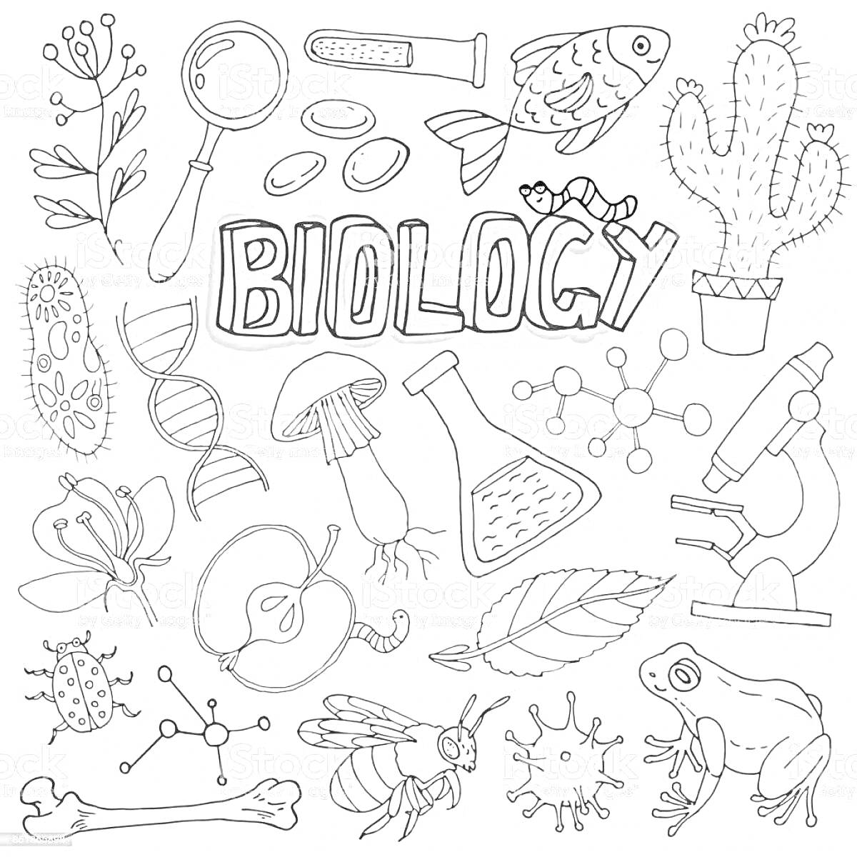 Раскраска Биология - увеличительное стекло, бактерии, таблетки, рыба, растения, ДНК, грибы, пробирка, молекулы, микроскоп, бабочка, яблоко, лист, лягушка, пчела, клетка, кости, жуки, циркулярная схема.
