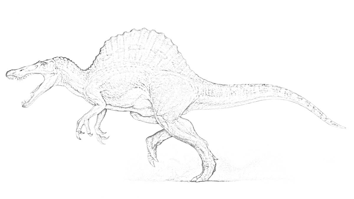На раскраске изображено: Спинозавр, Динозавр, Палеонтология, Для детей, Древние животные