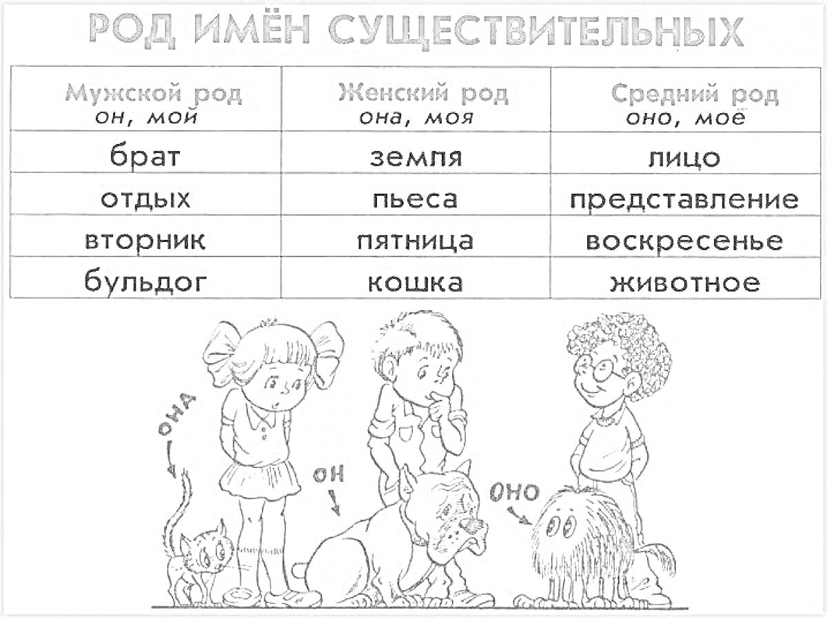 Раскраска Род имён существительных (брат, отдых, вторник, бульдог, земля, пьеса, пятница, кошка, лицо, представление, воскресенье, животное)