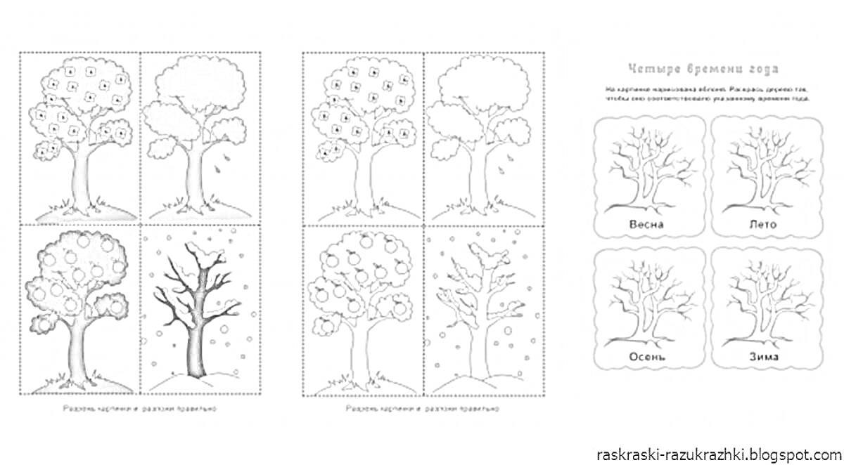 Раскраска Четыре времени года: деревья в разные сезоны (зима, весна, лето, осень), в правом блоке название 