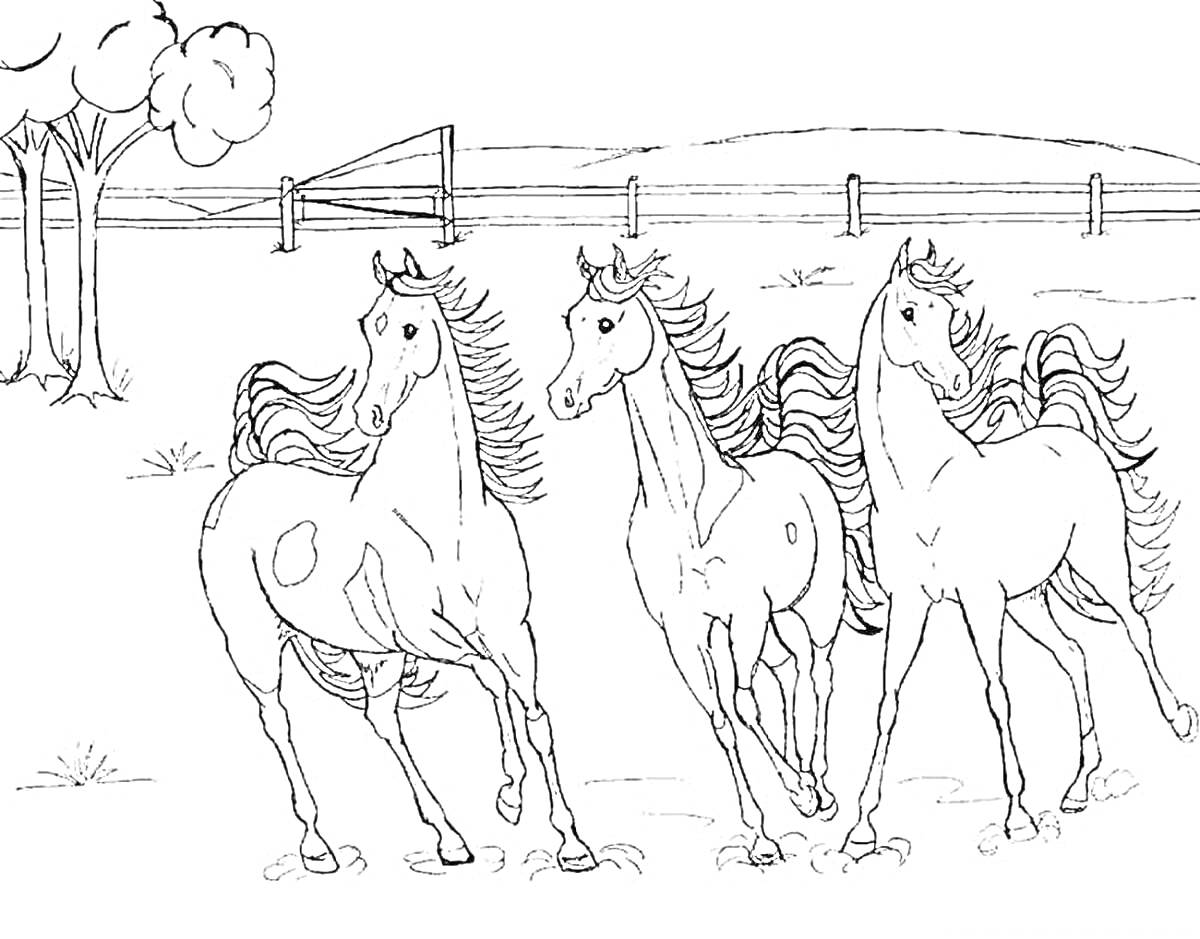 Раскраска Три лошади, бегущие на фоне сельского пейзажа с деревьями, забором и воротами