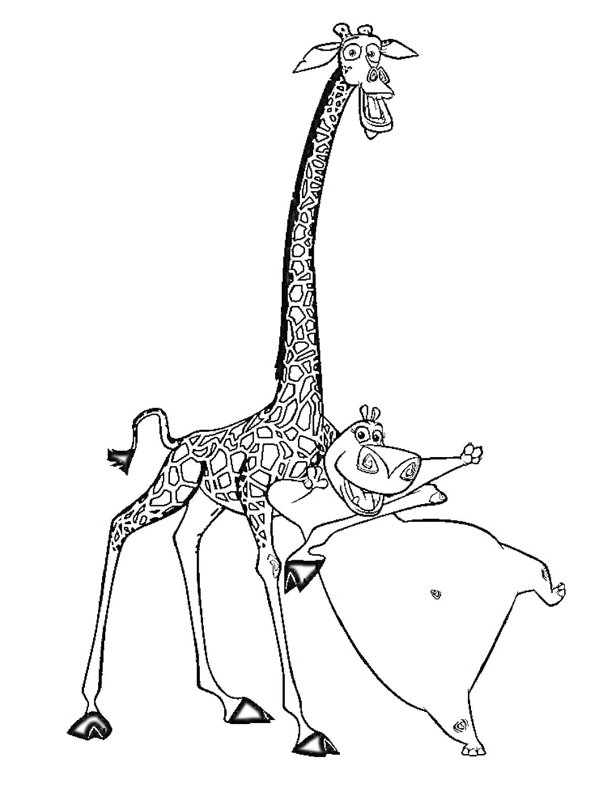 Раскраска Жираф и бегемот из мультфильма 