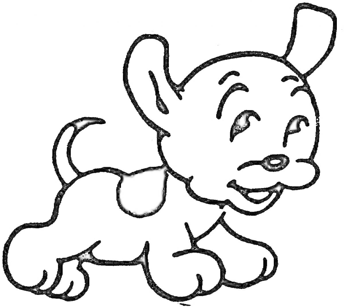 Раскраска Раскраска с изображением маленькой собачки с задранным хвостом и черным пятном на спине