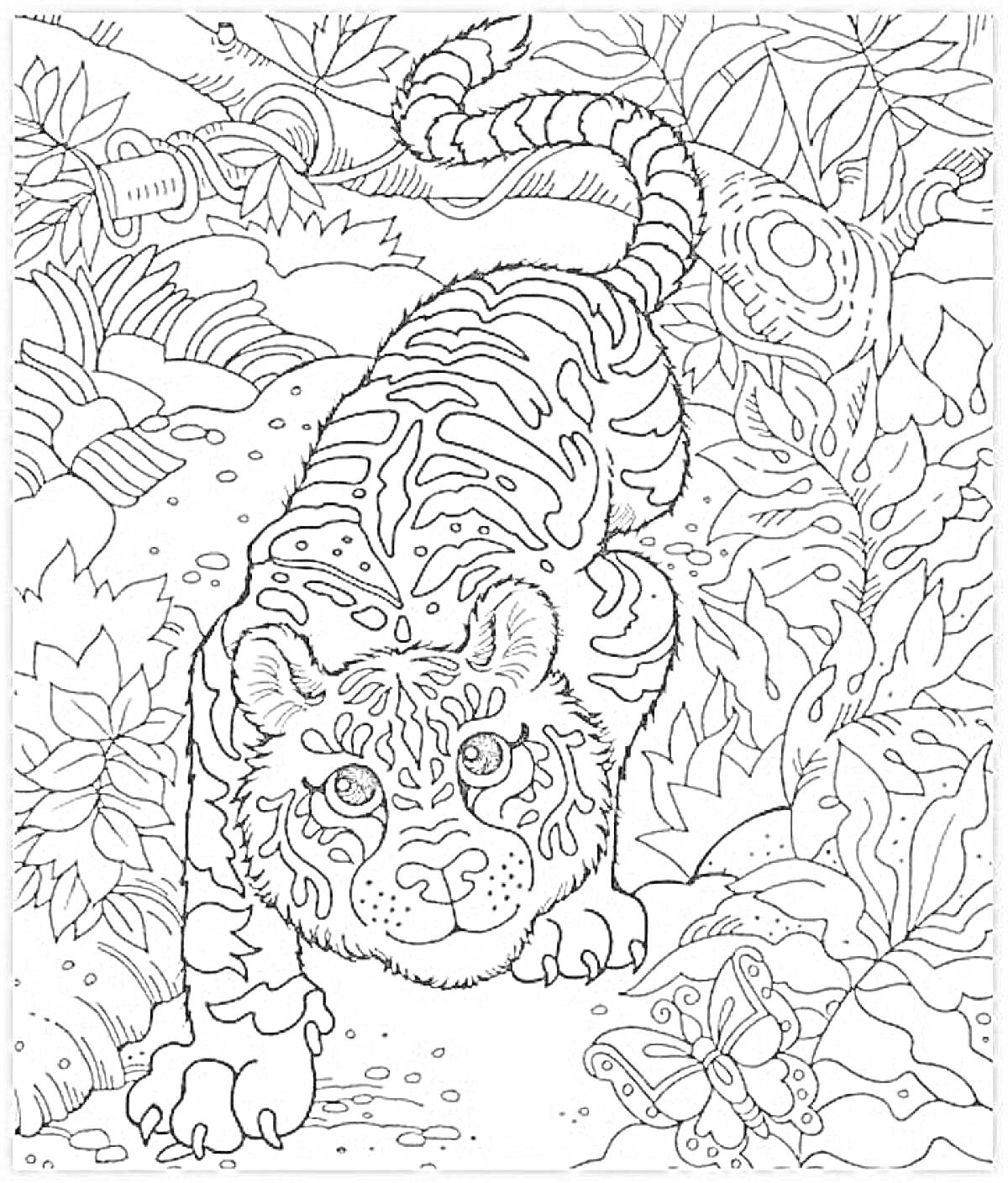 Раскраска Тигрёнок в джунглях с растениями, бабочкой и дорожкой