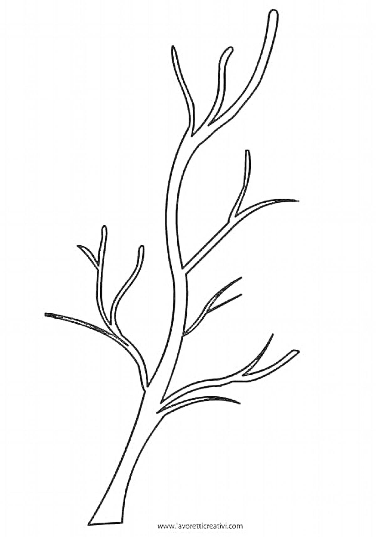 Раскраска Ветка дерева с множеством разветвлений