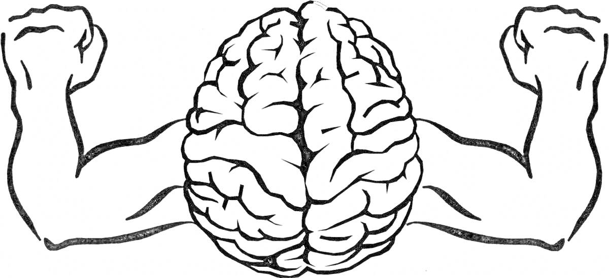 На раскраске изображено: Мозг, Мышцы, Сила, Здоровье, Анатомия