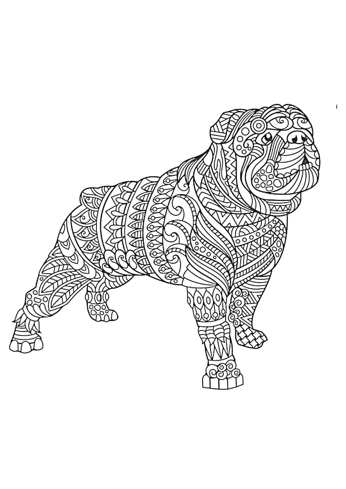 Раскраска Антистресс раскраска собака в орнаменте