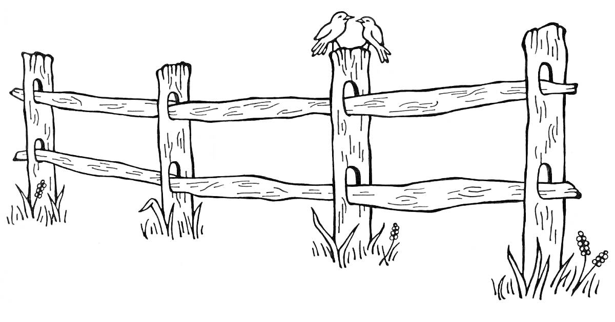 На раскраске изображено: Забор, Деревянный, Трава, Деревья, Природа, Сельская местность, Для детей, Птица