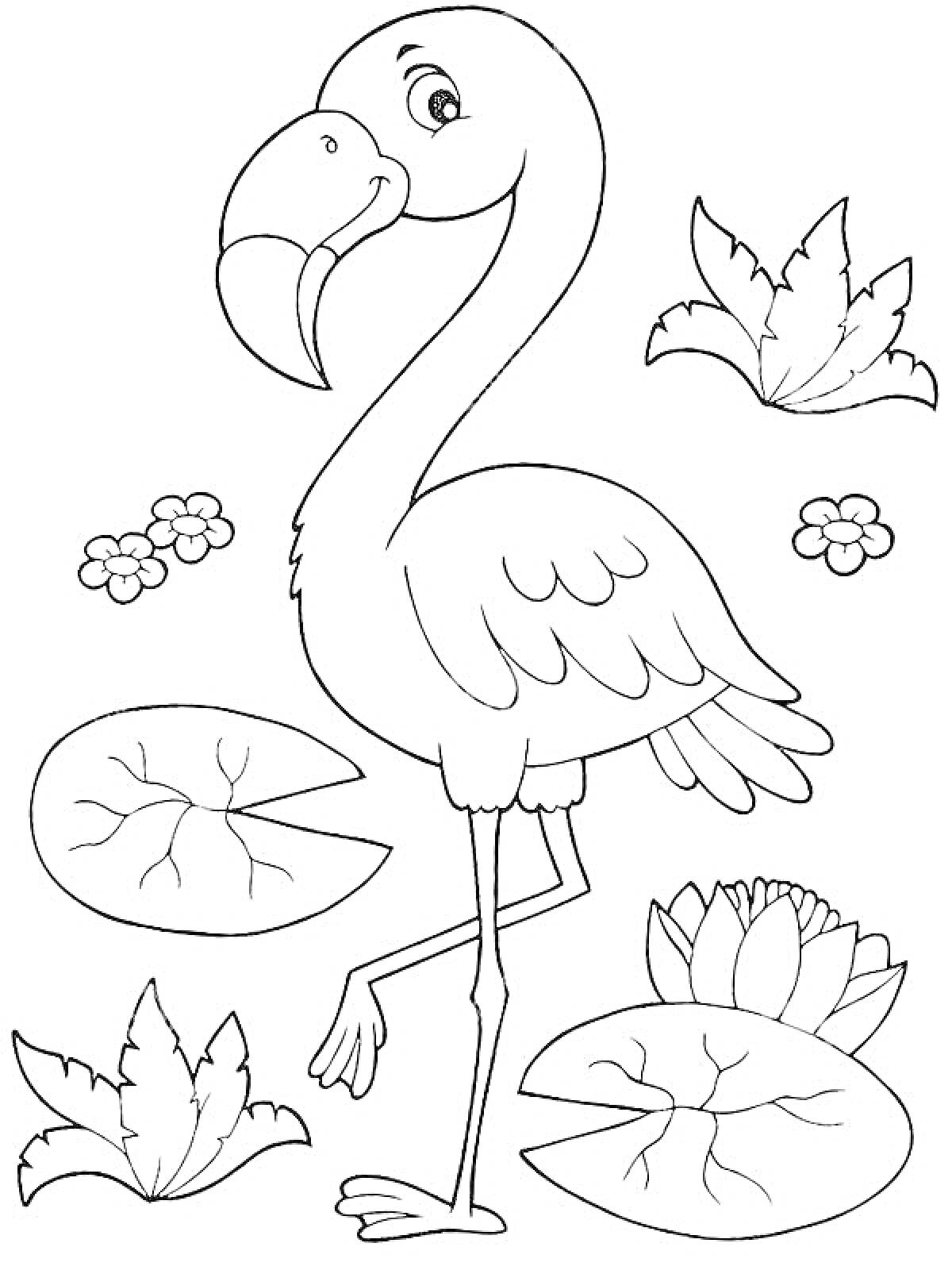На раскраске изображено: Фламинго, Кувшинки, Листья, Цветы, Природа, Лотос